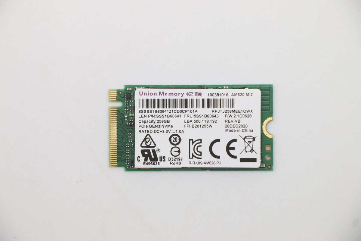 Lenovo 256GB PCIe 2242 M.2 SSD 5SS1B60643
