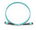 Fluke 1m Test Cord MPO/MPO, TRC-MPO-PP-B