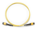 Fluke 1m Singlemode Test Reference TRC-SM-MPOAPC-UP-A