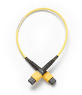 Fluke 0.3m 9 µm Singlemode Test TRC-SM-MPOAPC-UU-A
