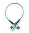 Fluke 0,3m Test Cord MPO/MPO, TRC-MPO-UU-B