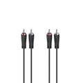 Hama 00205258 cable de audio 3 m 2 x RCA Negro