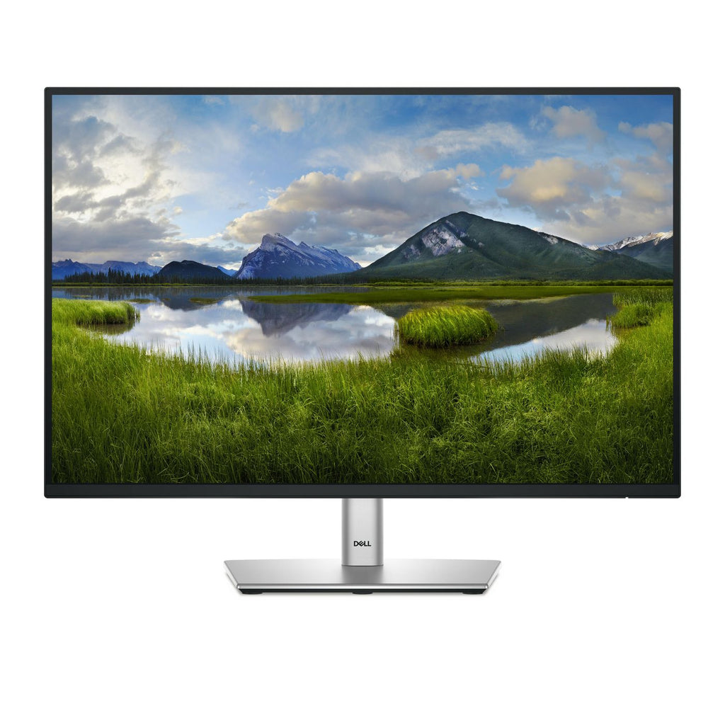 DELL Pro Plus P2425E pantalla para PC 61,1 cm (24.1") 1920 x 1200 Pixeles WUXGA LCD Negro