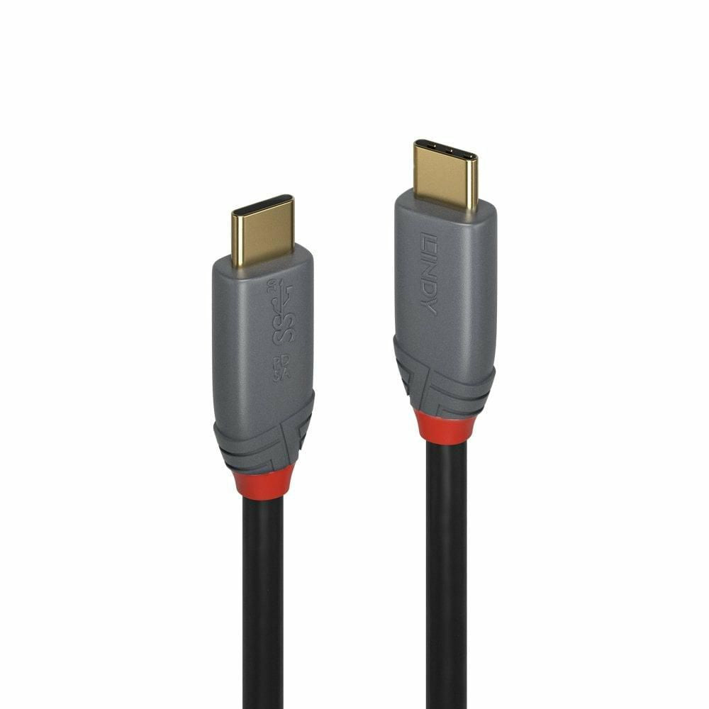 Lindy 36903 cable USB USB 3.2 Gen 2 (3.1 Gen 2) 2 m USB C 20 Gbit/s 100 W Negro