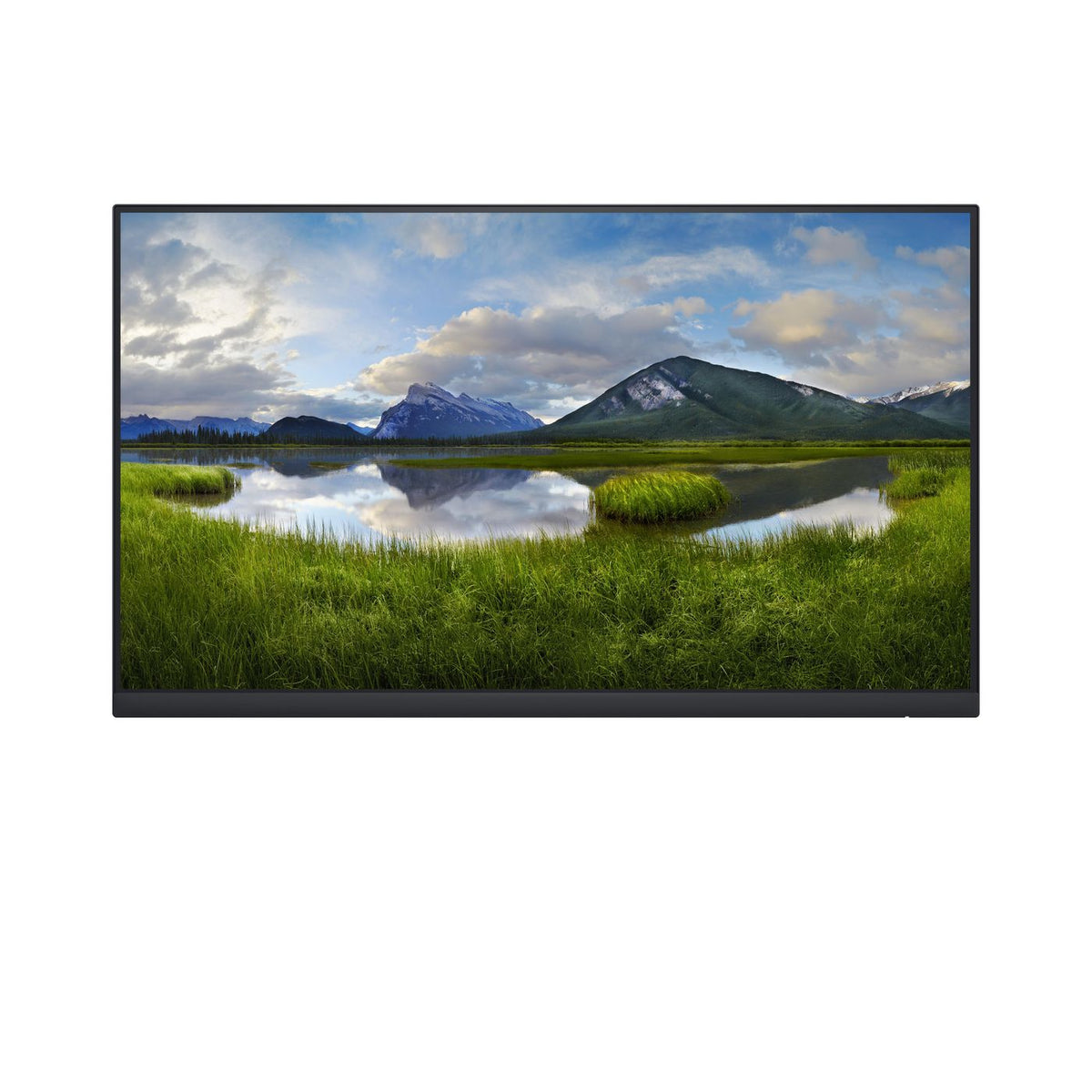 DELL P Series P2422H_WOST pantalla para PC 60,5 cm (23.8") 1920 x 1080 Pixeles Full HD LCD Negro