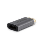 Lindy 41095 cambiador de género para cable DisplayPort HDMI Type A Gris