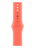 Apple Smart Wearable Accessories MDT54ZM/A