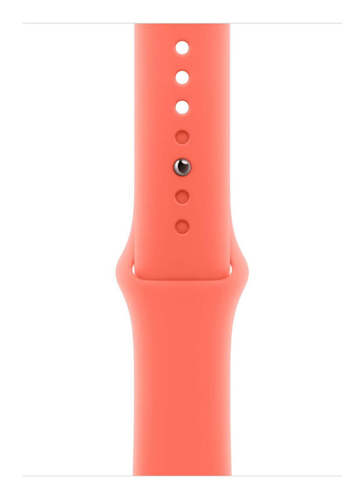 Apple Smart Wearable Accessories MDT54ZM/A