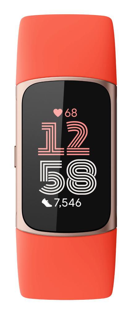 Fitbit Charge 6 Amoled Wristband 840353901100