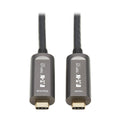 Tripp Lite Usb-C Aoc Cable (M/M) - Usb U420F-15M-D321
