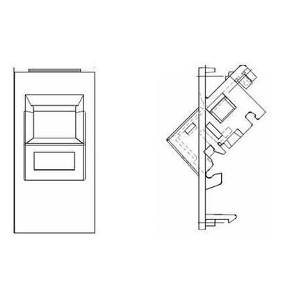 Belden Insert Euromod Outlet Angled NN01553