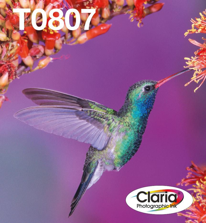 Epson Hummingbird T0807 cartucho de tinta 1 pieza(s) Original Rendimiento estándar Negro, Cian, Cian claro, Magenta claro, Magenta, Amarillo