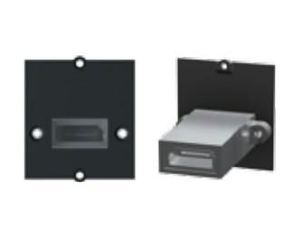 Bachmann Custom module - DisplayPort 917.145