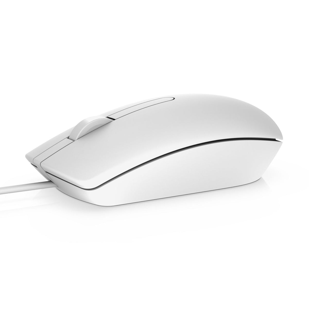 DELL MS116 ratón Ambidextro USB tipo A Óptico 1000 DPI
