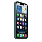 Apple MD3X4ZM/A mobile phone case 15.5 cm [6.1] Cover Green (Apple - Protective cover for mobile phone - silicone - lake green - for iPhone 16e)