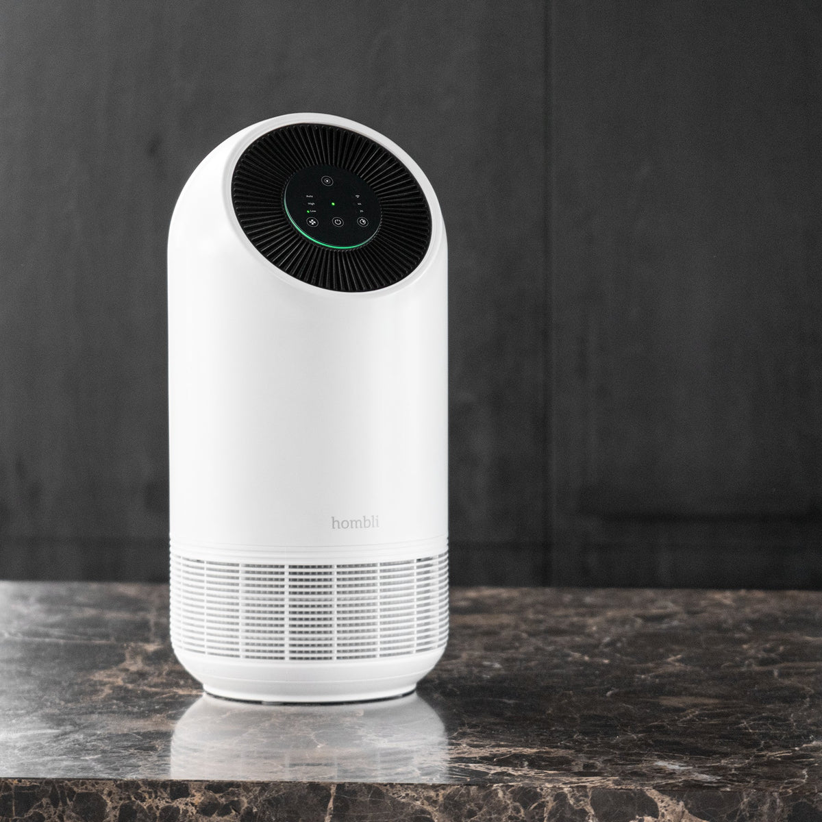 Hombli Purificador de Aire Inteligente