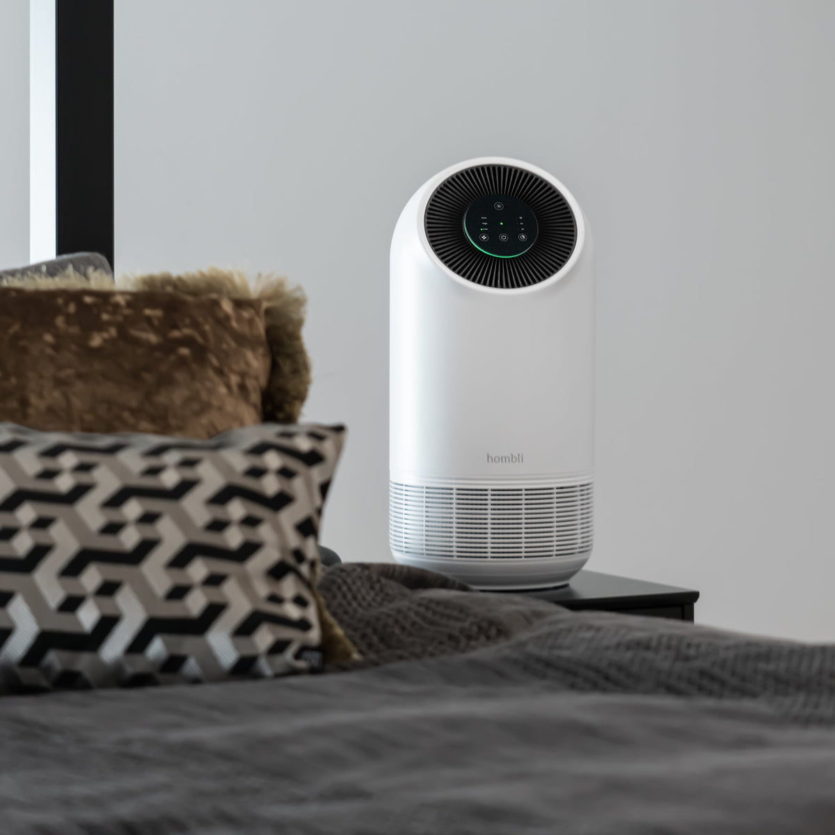 Hombli Purificador de Aire Inteligente