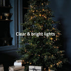 HOMBLI Smart Christmas Light LED Strin