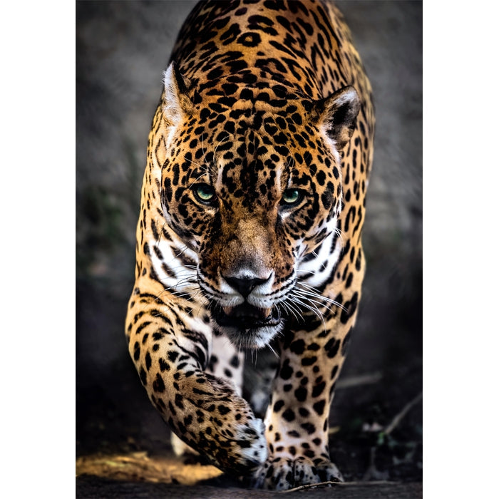 Clementoni High Quality Collection 39947 puzzle Puzzle rompecabezas 1000 pieza(s) Animales (2)