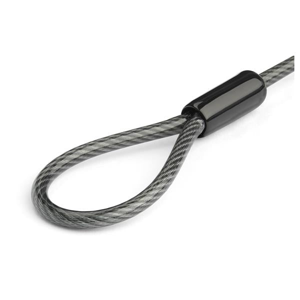 StarTech.com BRNCHLOCK cable antirrobo Negro, Plata