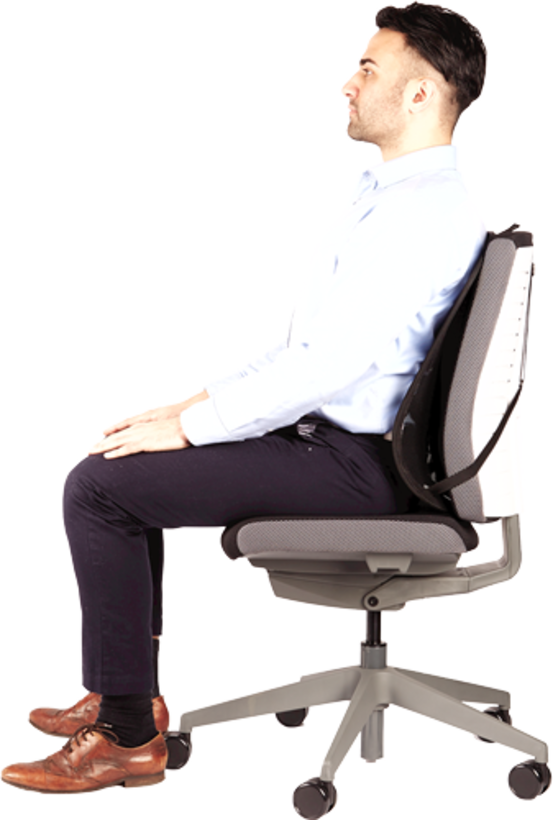 Fellowes Cojín lumbar Professional (5)