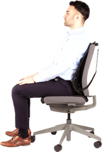 Fellowes Cojín lumbar Professional (5)