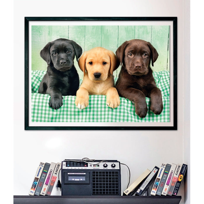 Clementoni High Quality Collection 39946 puzzle Puzzle rompecabezas 1000 pieza(s) Animales (3)