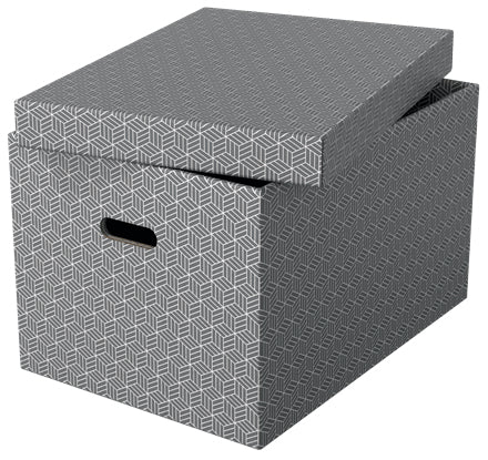 Esselte 628287 archivador organizador Caja de cartón Gris (2)