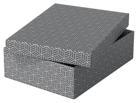 Esselte 628285 archivador organizador Caja de cartón Gris (3)