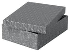 Esselte 628285 archivador organizador Caja de cartón Gris (3)