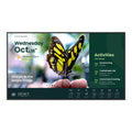 BenQ ST5504 Pantalla plana para señalización digital 139,7 cm (55") LCD 350 cd / m² 4K Ultra HD Negro Procesador incorporado Android 18/7
