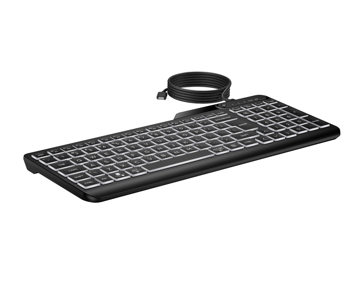 HP 405 Backlit Wired Keyboard teclado Oficina USB Negro (3)