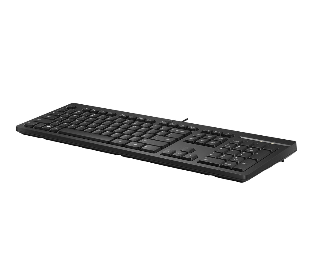 HP 125 USB Wired Keyboard teclado Negro (8)