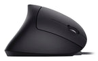 Equip 245118 ratón Universal Mano derecha USB tipo A Óptico 3200 DPI (2)