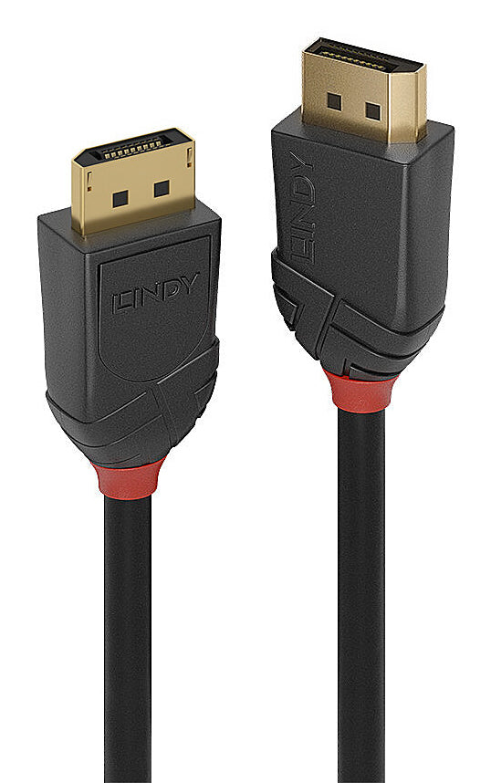 Lindy 36517 cable DisplayPort 2 m Negro (2)