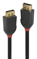 Lindy 36517 cable DisplayPort 2 m Negro (2)