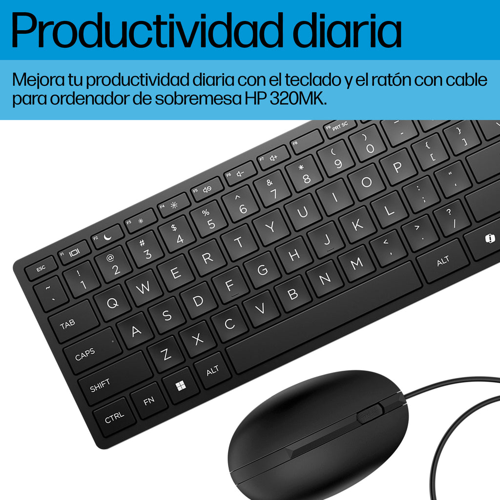 HP Wired Desktop 320MK Mouse and Keyboard teclado Ratón incluido Oficina USB Negro (3)