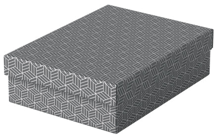 Esselte 628285 archivador organizador Caja de cartón Gris