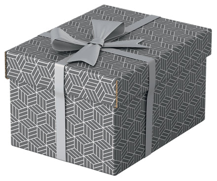 Esselte 628281 archivador organizador Caja de cartón Gris (2)