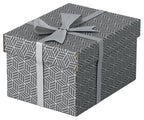 Esselte 628281 archivador organizador Caja de cartón Gris (2)