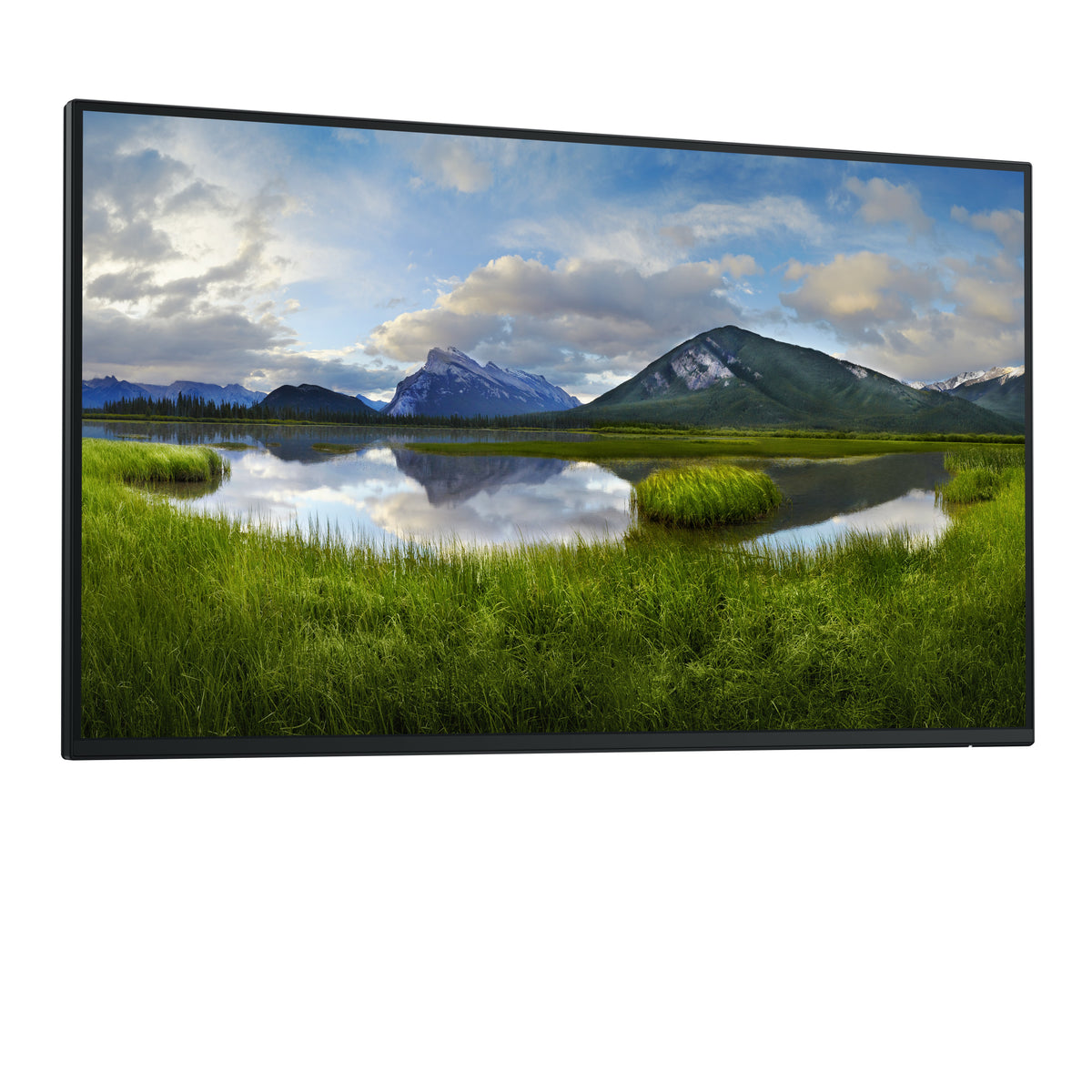 DELL Pro Plus P2725H_WOST pantalla para PC 68,6 cm (27") 1920 x 1080 Pixeles Full HD LCD Negro (4)