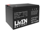 Liven Battery Batería Liven 12V 12Ah F2 LV12-12