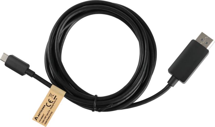 Cable USB tipo C m. - DisplayPort m. 2 m (3)