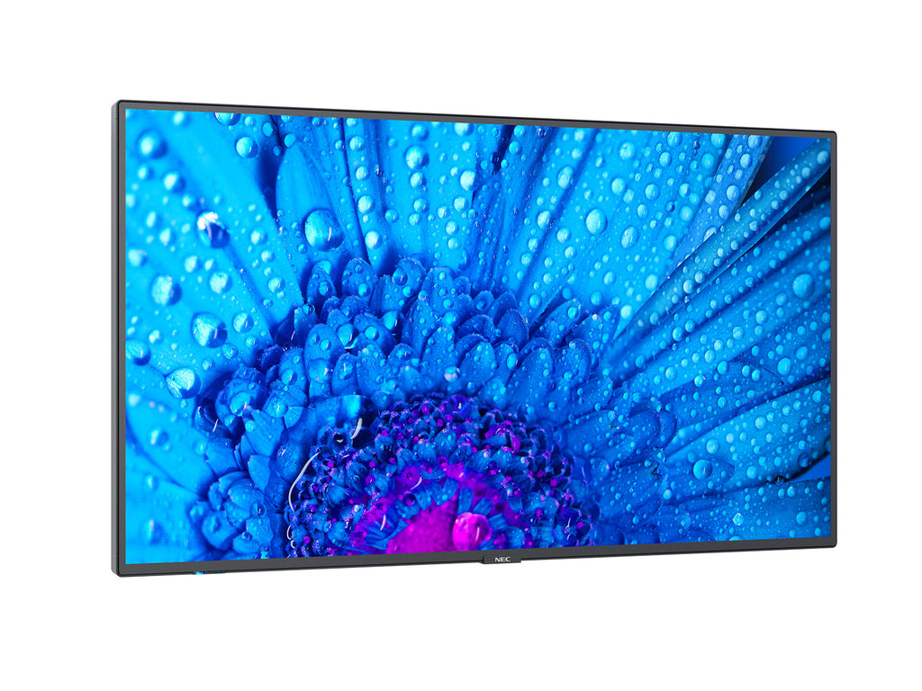 NEC MultiSync M491 Pantalla plana para señalización digital 124,5 cm (49") IPS 500 cd / m² 4K Ultra HD Negro 24/7 (8)