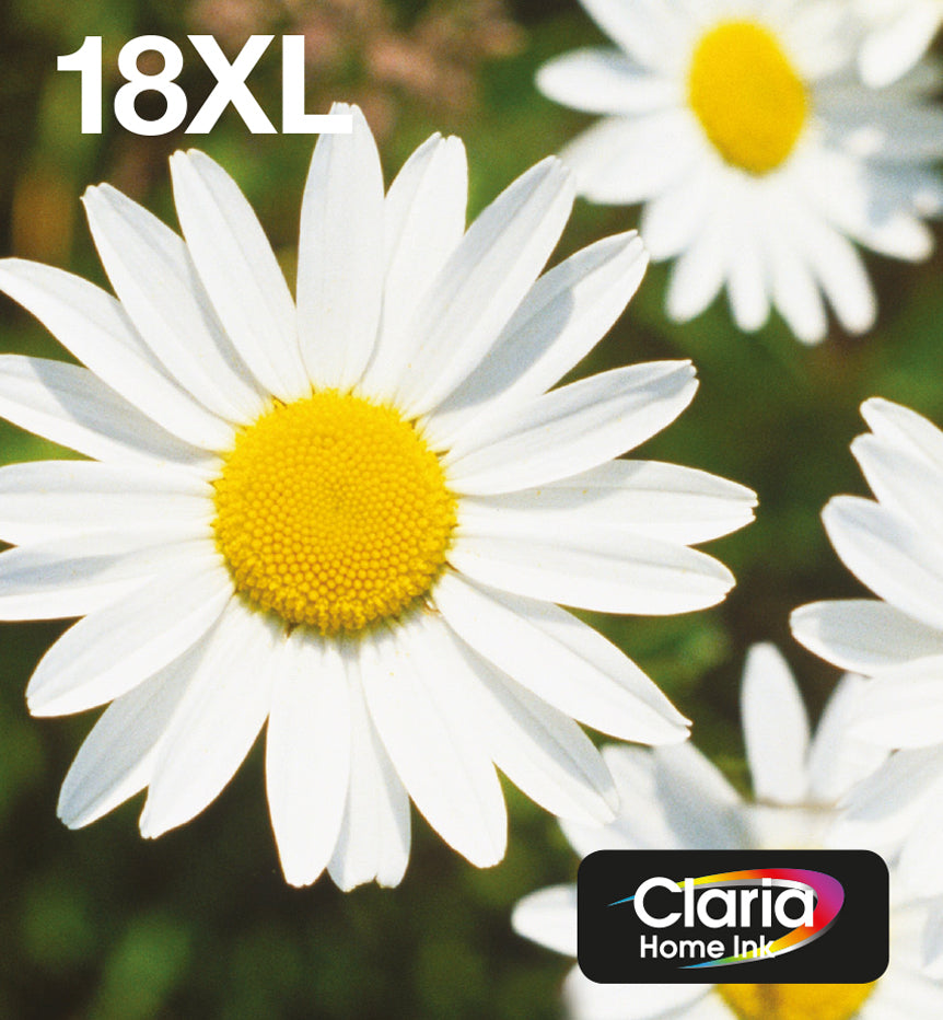 Epson Daisy 18XL EasyMail cartucho de tinta 1 pieza(s) Original High (L) Yield Negro, Cian, Magenta, Amarillo