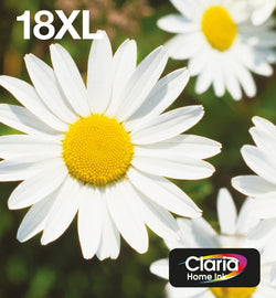Epson Daisy 18XL EasyMail cartucho de tinta 1 pieza(s) Original High (L) Yield Negro, Cian, Magenta, Amarillo