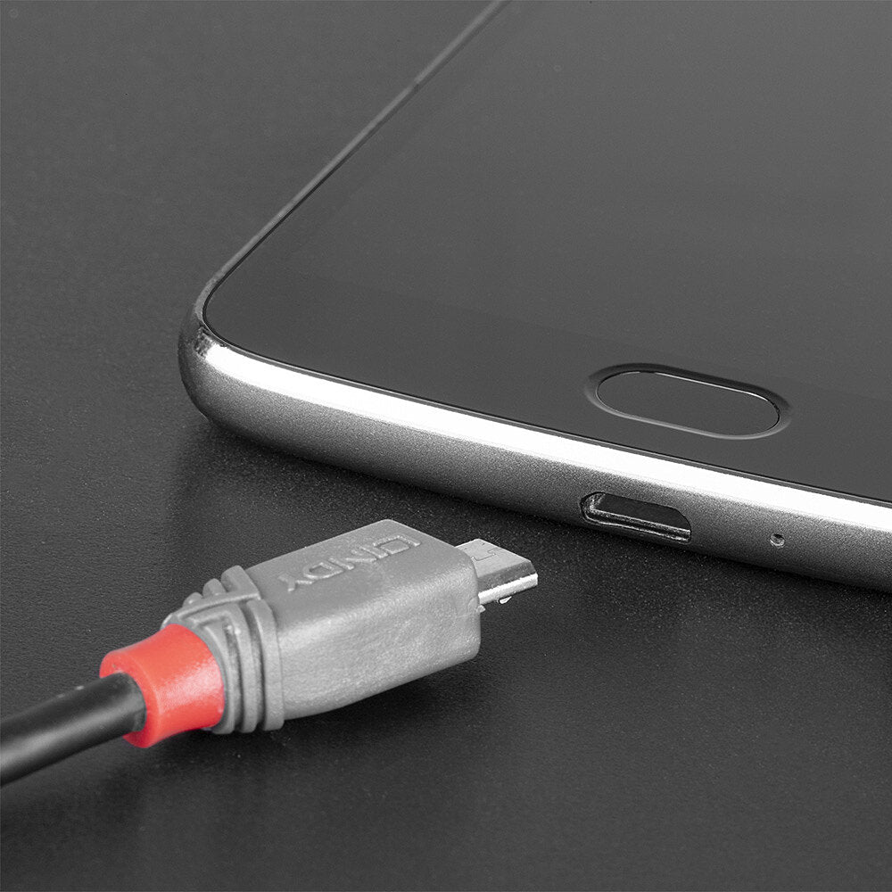 Lindy 36890 cable USB USB 2.0 0,5 m USB C Micro-USB B 0,48 Gbit/s Negro, Gris (5)