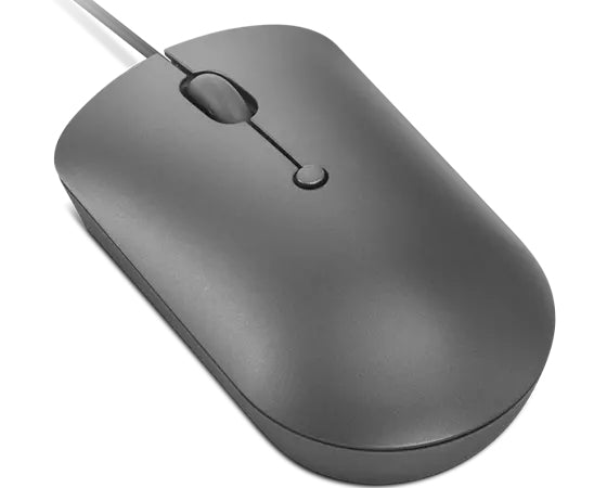 Lenovo 540 ratón Oficina Ambidextro USB Tipo C Óptico (3)