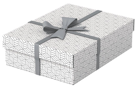 Esselte 628284 archivador organizador Caja de cartón Blanco