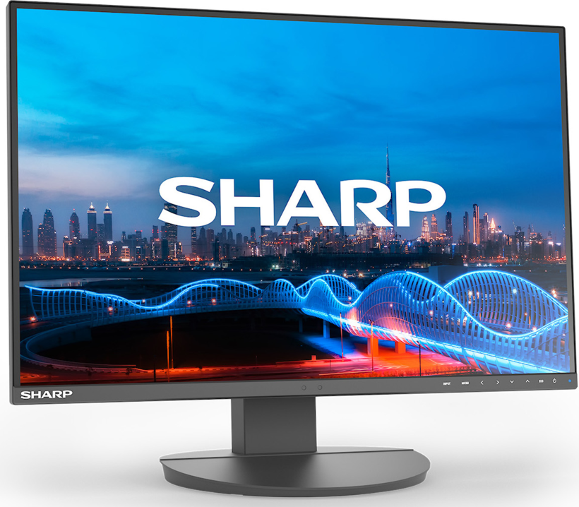 Monitor Sharp MultiSync EA241W DDEA241W (2)
